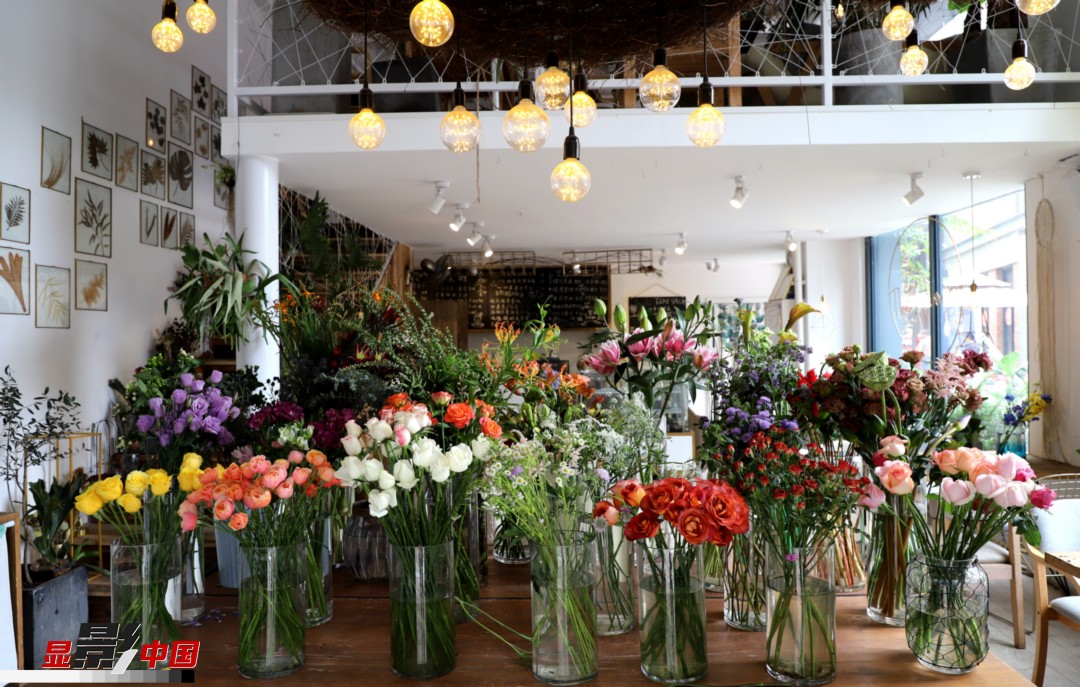 從決定從事鮮花這個(gè)行業(yè)以來，王黎媛花了很多的時(shí)間和精力去學(xué)習(xí)花藝，不斷提高自己的專業(yè)水平。而在小店的選址、裝修和布置方面，王黎媛同樣花費(fèi)了不少心思，“希望我的小店和鮮花一樣，是有溫度的、鮮活的?！绷硗猓⌒〉幕ǖ暌膊刂蟠蟮膲?mèng)想，“我們?cè)颇硝r花很多，但真正做成品牌的卻很少，這是非?？上У?。我希望把我的店做成品牌，不光能扎根昆明，還能落地到云南的其他城市，甚至省外的城市?！眻D為王黎媛的花店一角。新華網(wǎng) 周亞平/攝 念新洪/文